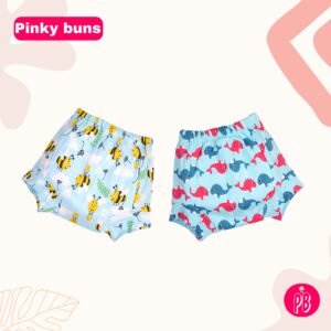 Pack of 2 - Reusable Cloth Diapers for babies Potty Training Pants Size 5-10